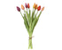 Tulpen boeket 13x39cm - roze/multi