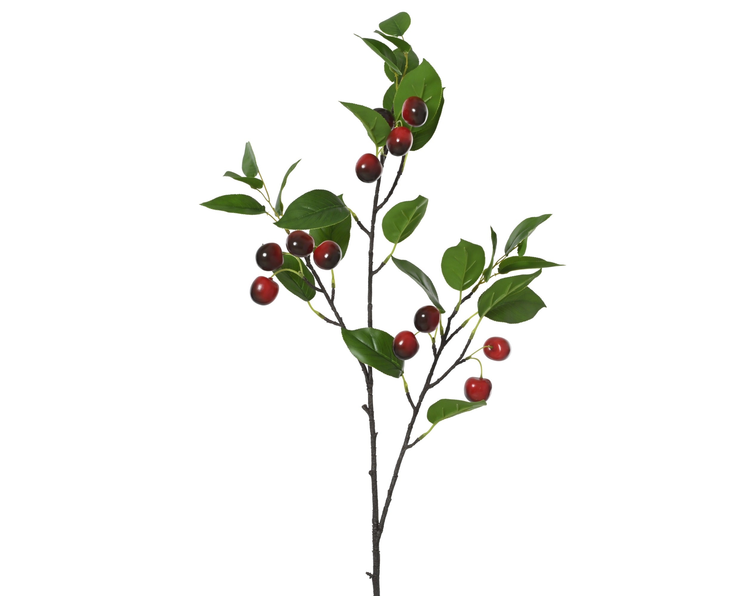 Kersentak - 28x18x95cm - groen/rood