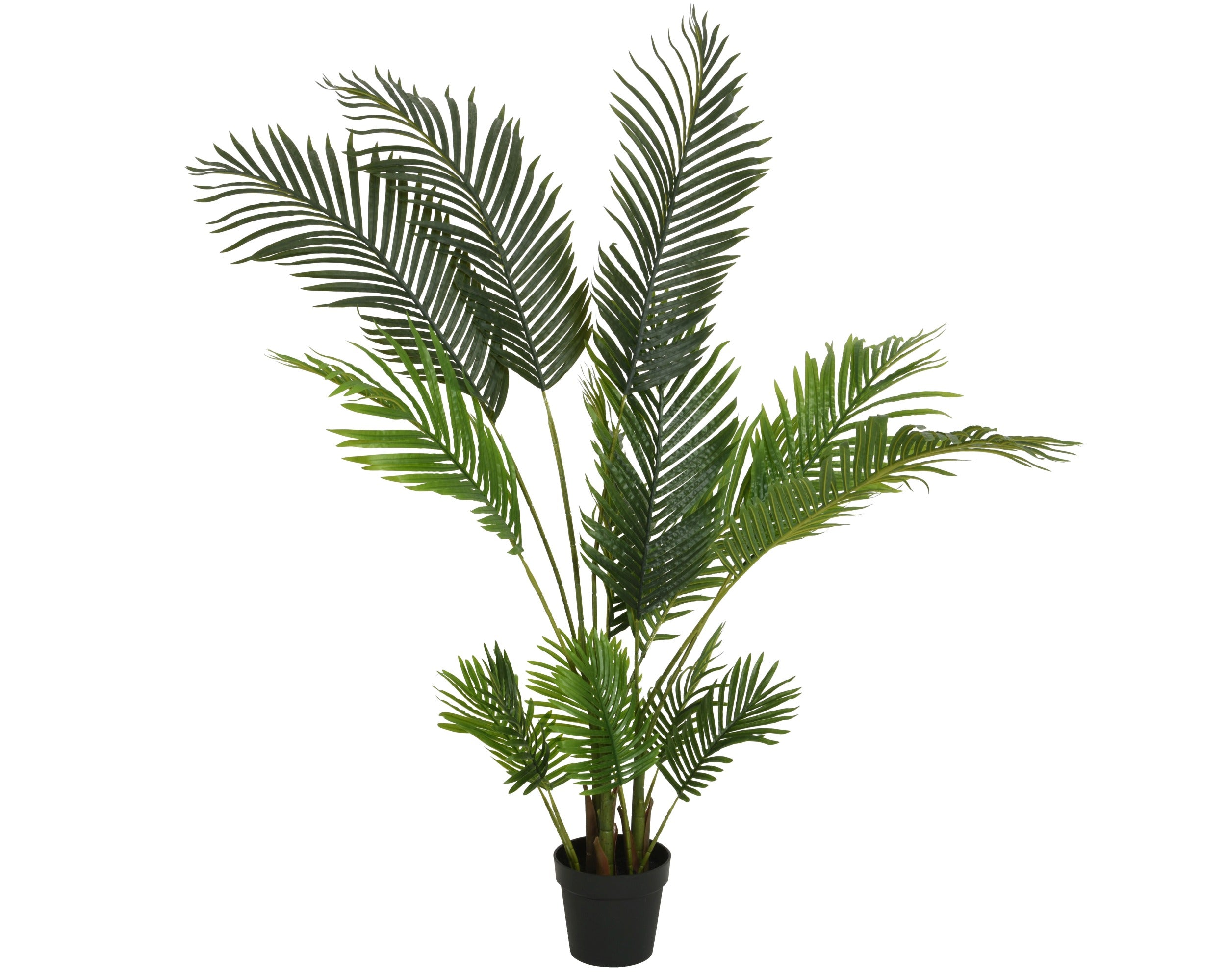 Palmboom in pot plastic - 90x150cm - groen