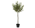 Olijfboom in pot polyester - 45x120cm - groen