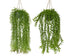 Wilg in pot plastic - 14x66cm - groen ass. (prijs per stuk)