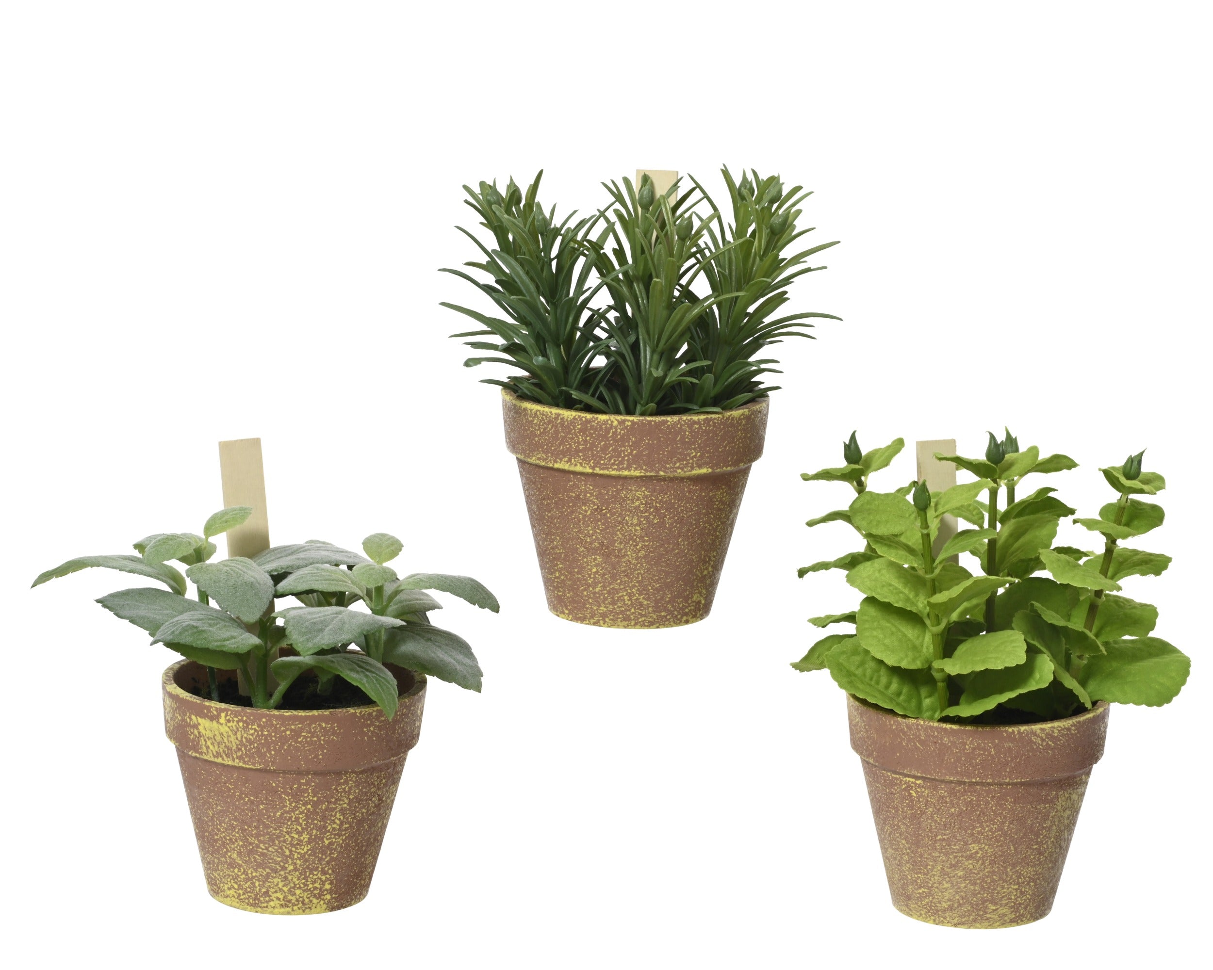 Plant in pot plastic - 15x17cm - groen ass. (prijs per stuk)