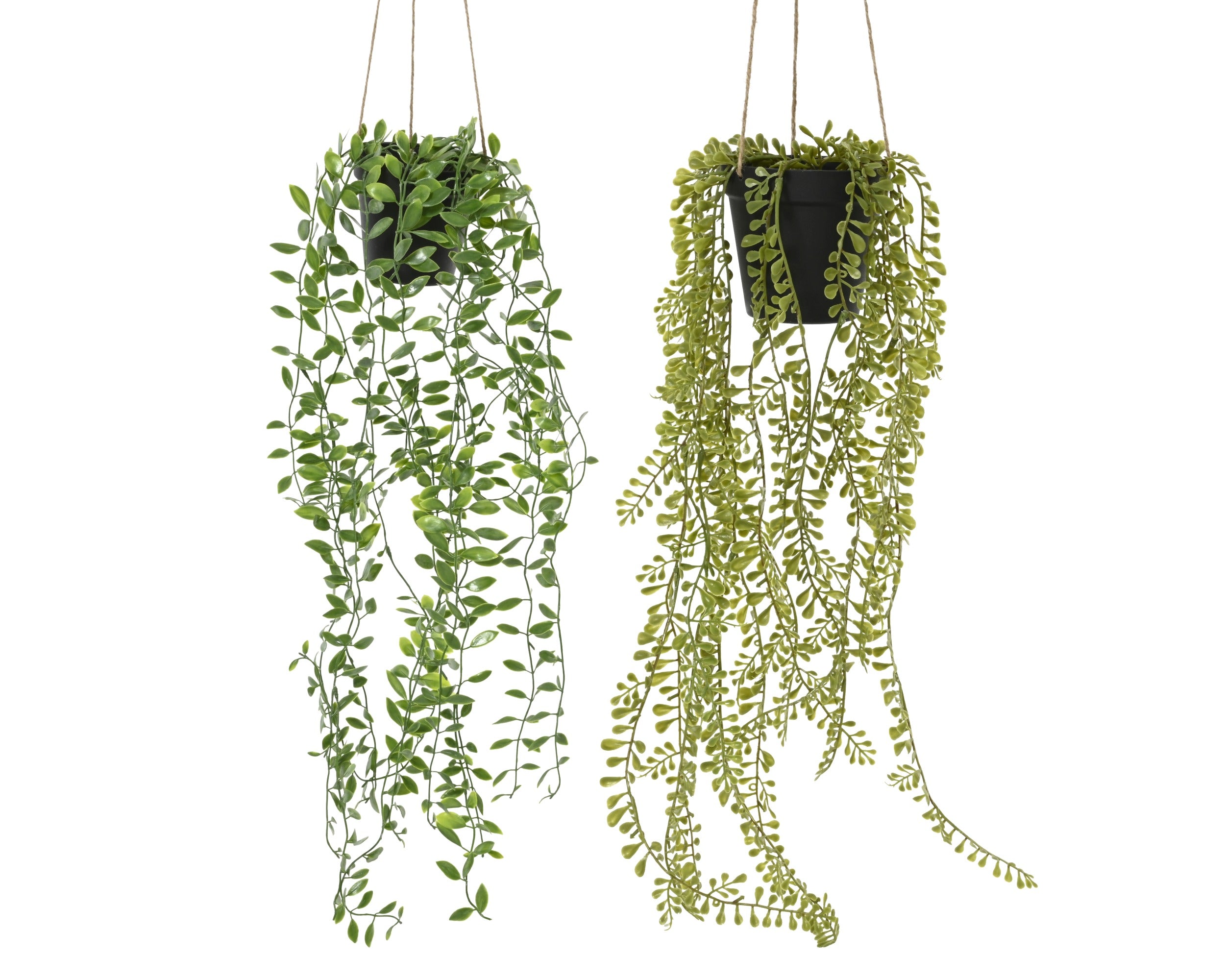 Hangplant - 18x14x60cm - ass. (prijs per stuk)