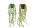 Hangplant - 18x14x60cm - ass. (prijs per stuk)