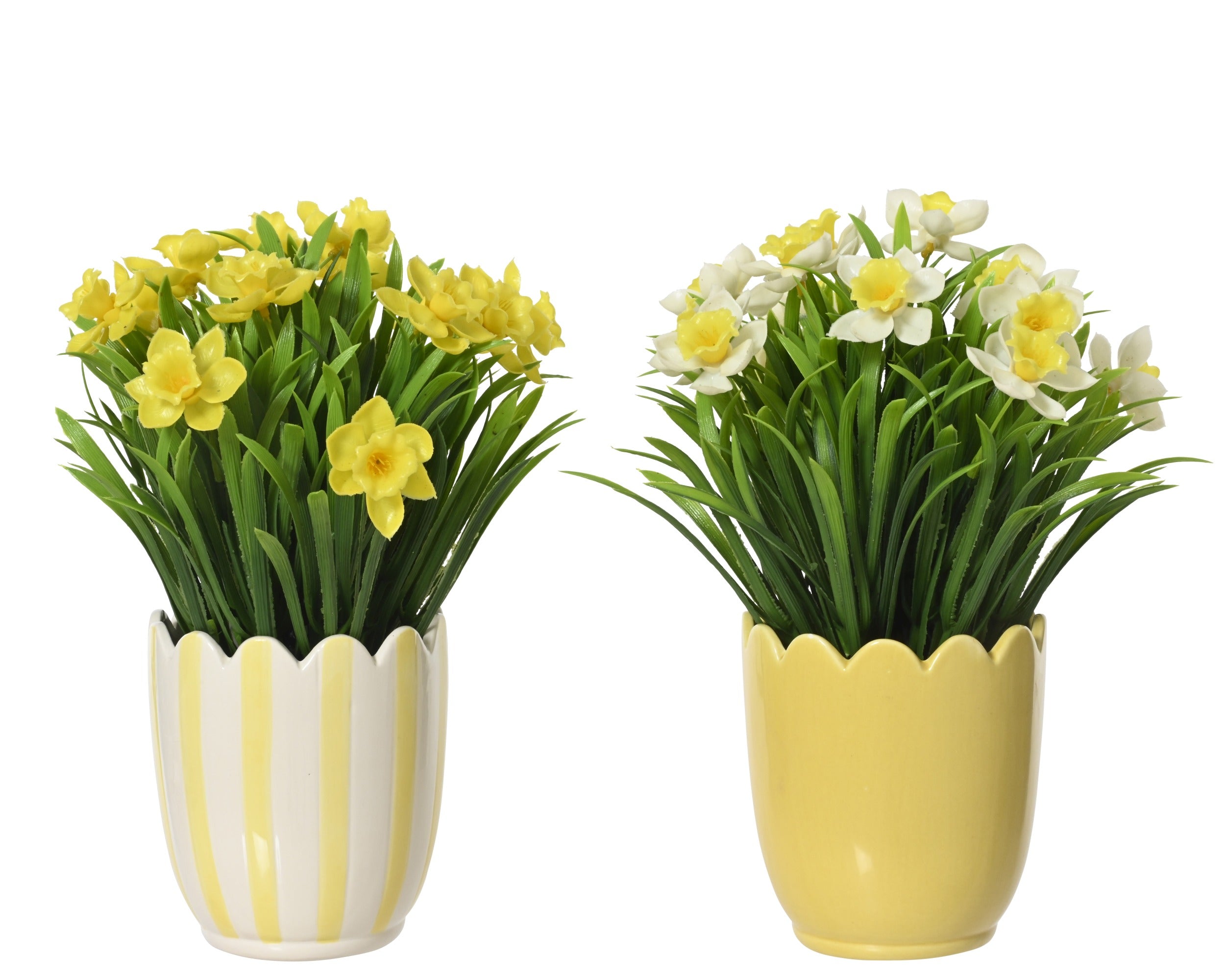 Plant in bloempotje - 11,5x30cm - geel ass. (prijs per stuk)