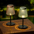 Solarverlichting tafellamp outdoor - 11,5x25cm - ass.