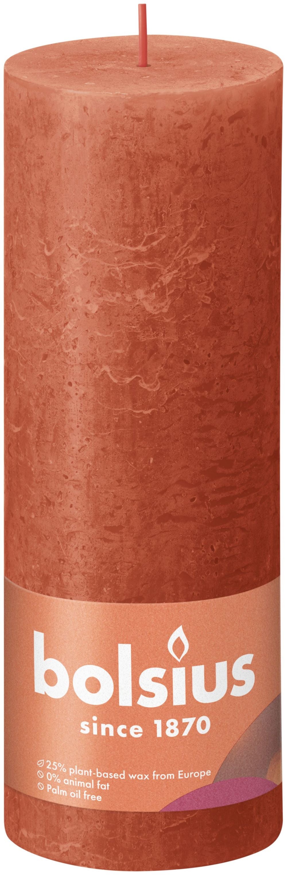 17381620.jpg
