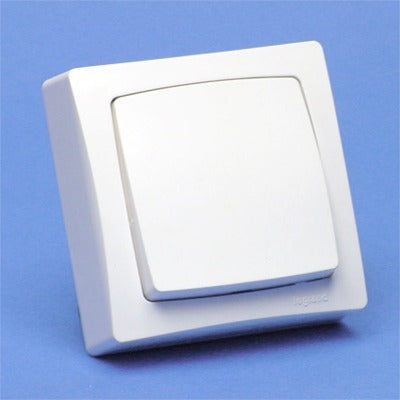 15135045.jpg