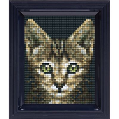 17891983.jpg