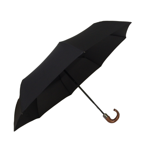 16997105.png