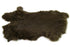 16076464.jpg
