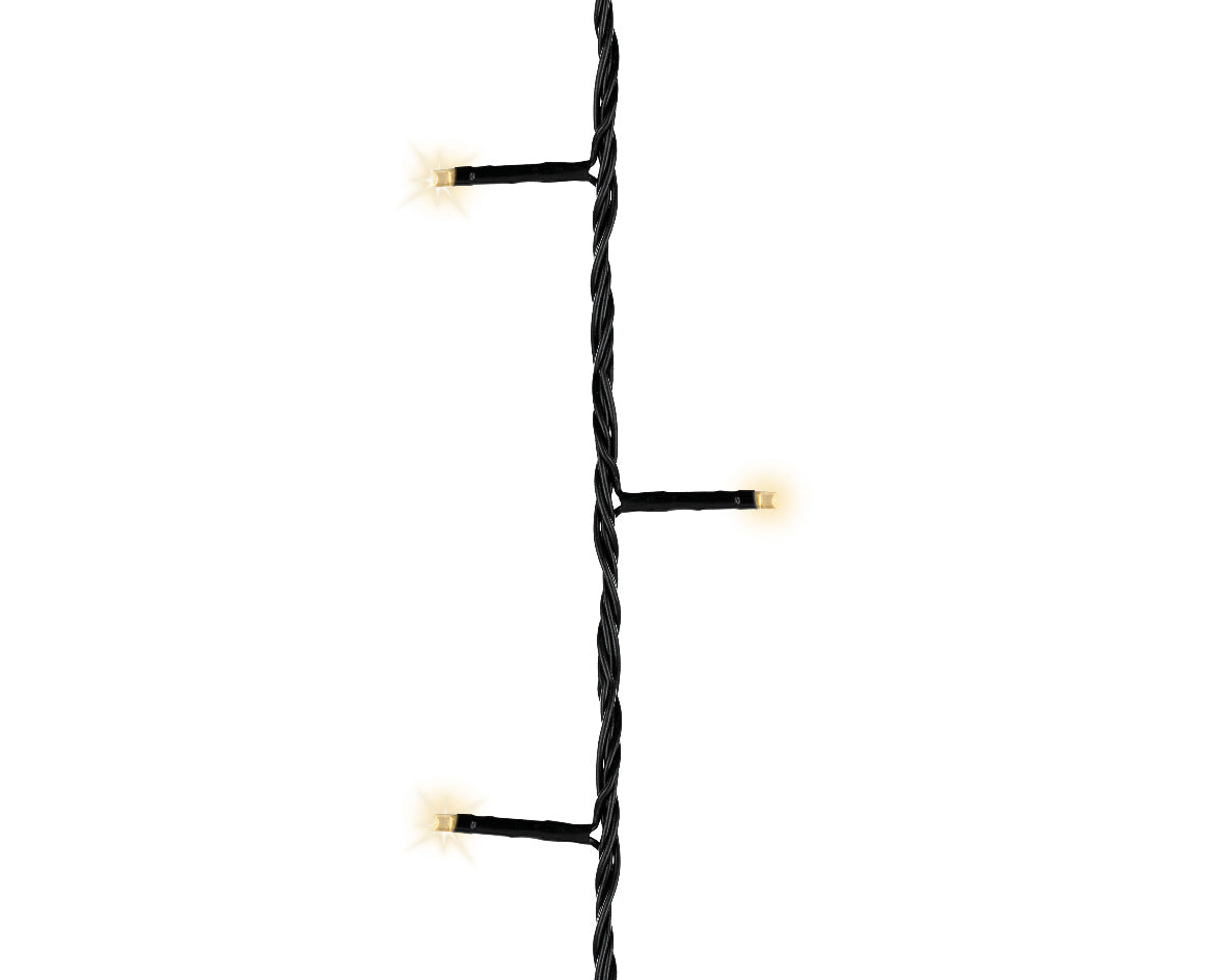 13088884.jpg