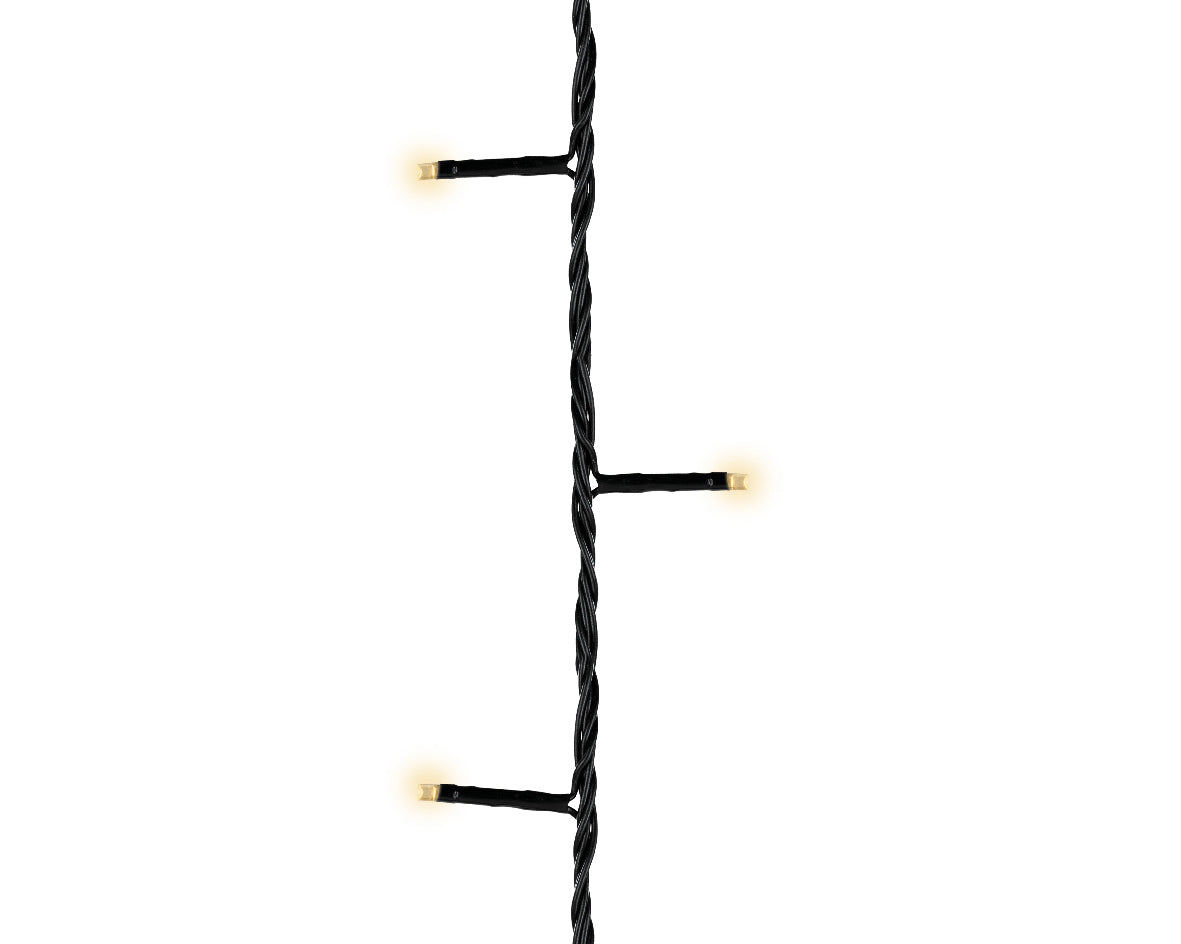13088909.jpg