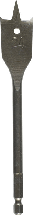 16981014.jpg