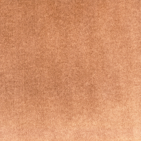 15684686.jpg