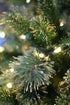 17876649-1.jpg