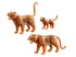 16852657-2.jpg