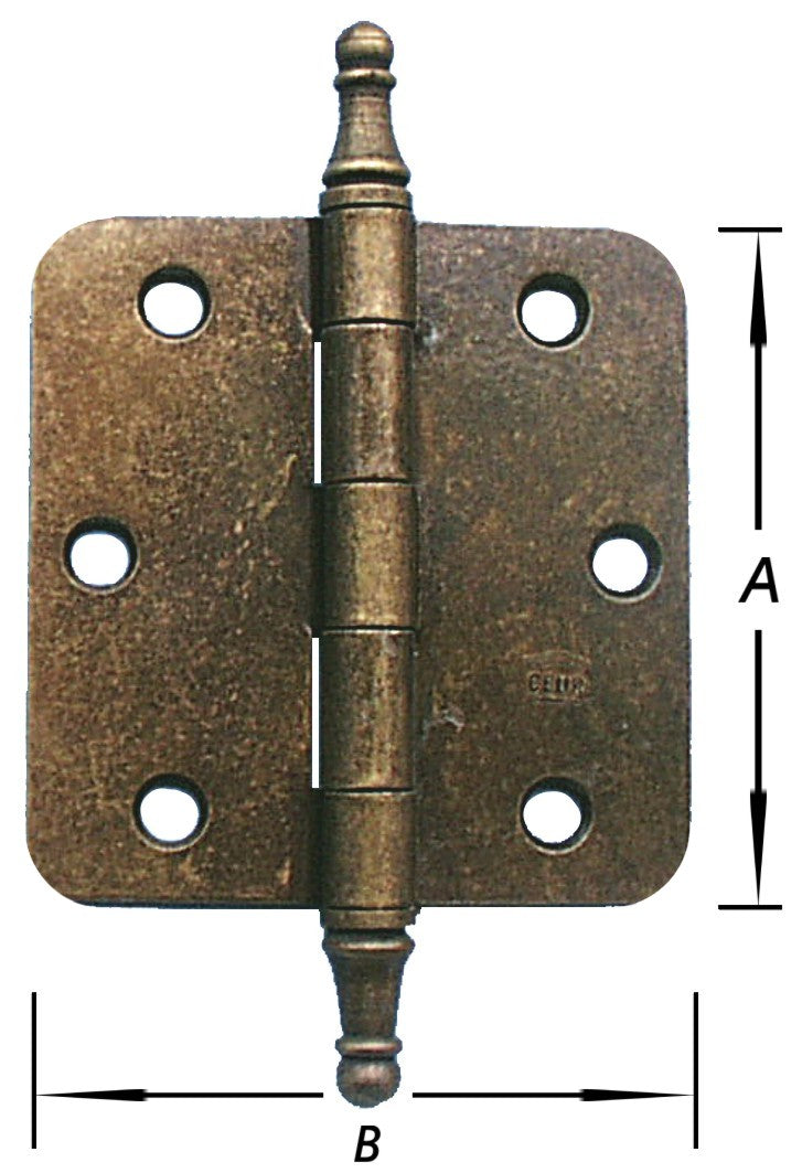 13618672.jpg