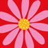 20047785.jpg