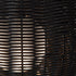 18005583-1.jpg
