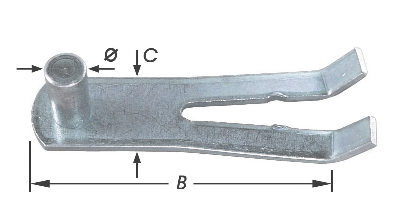 13618476.jpg