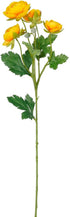 20031163.jpg