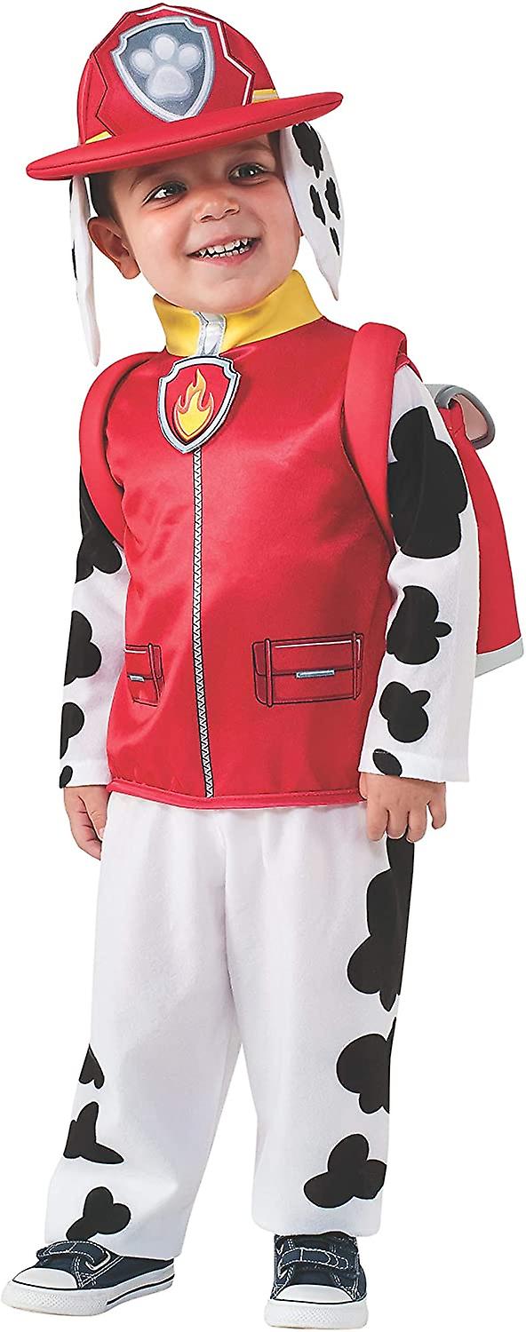 17556499.jpg