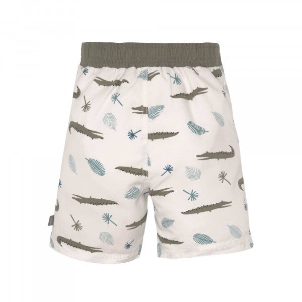 17222459-1.jpg