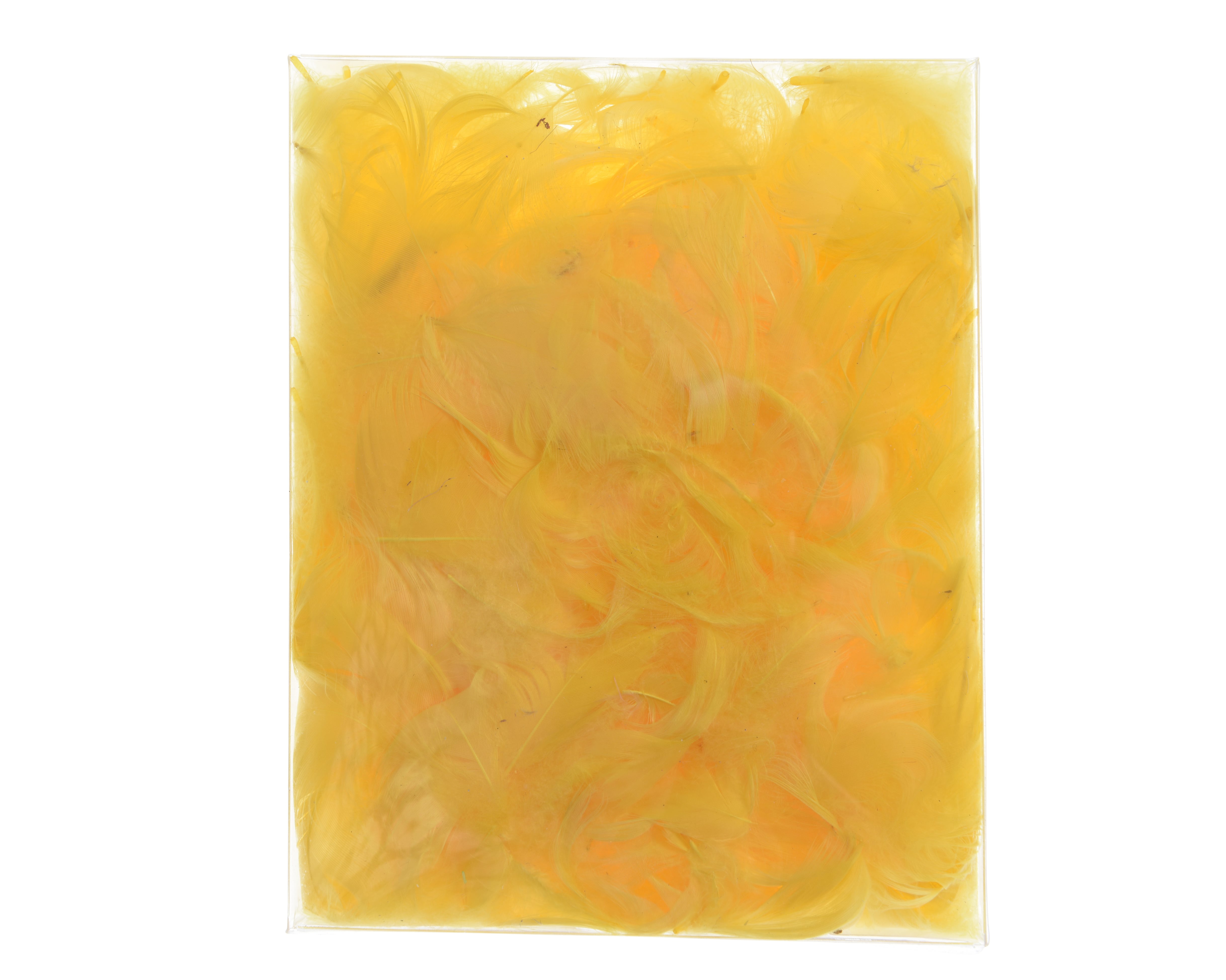 18858648.jpg