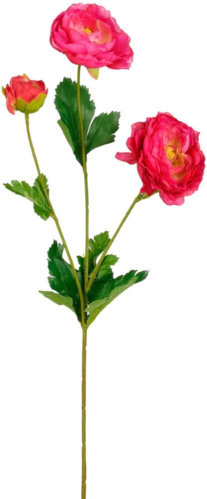 20031157.jpg