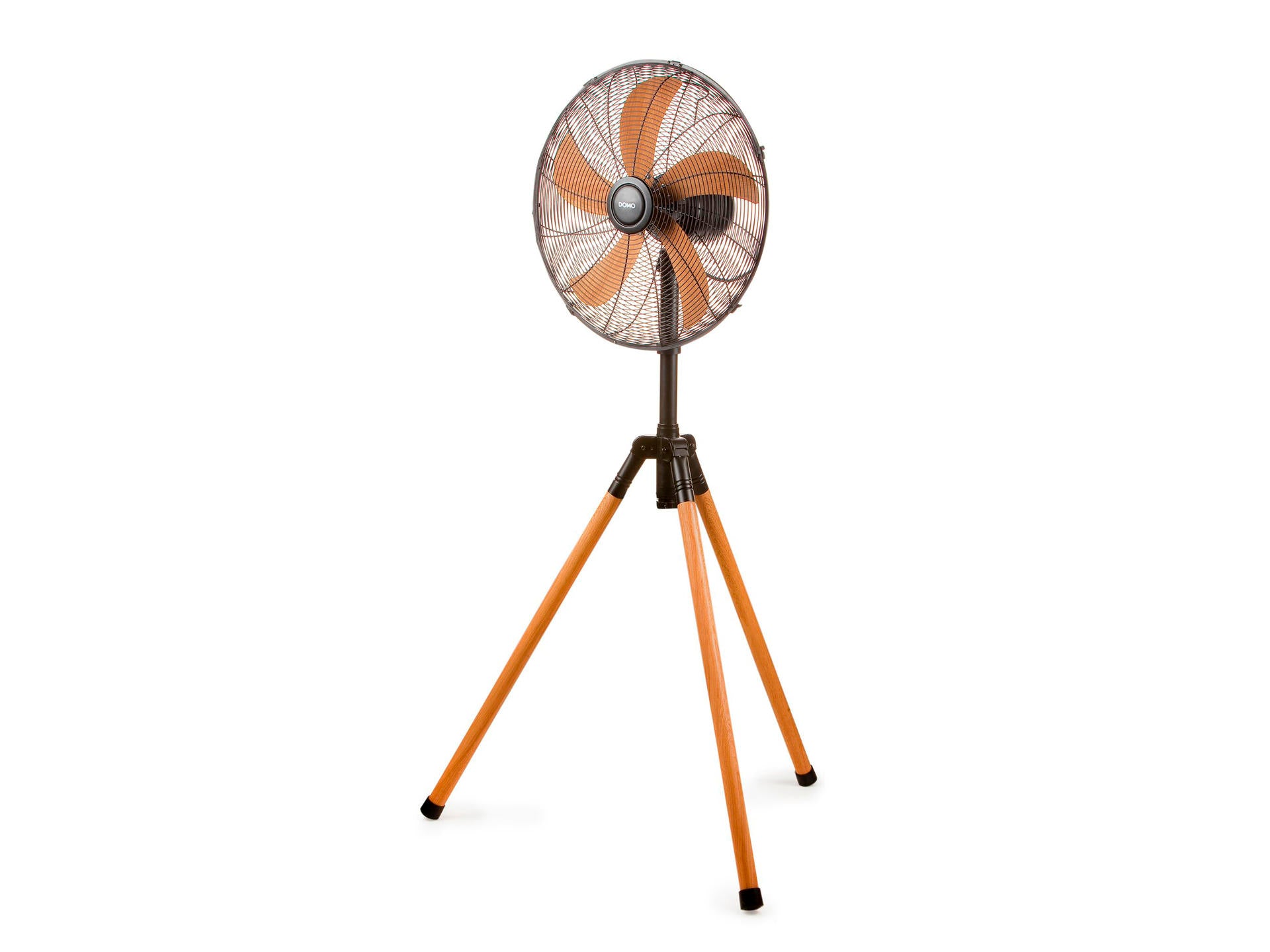 15965020-1.jpg