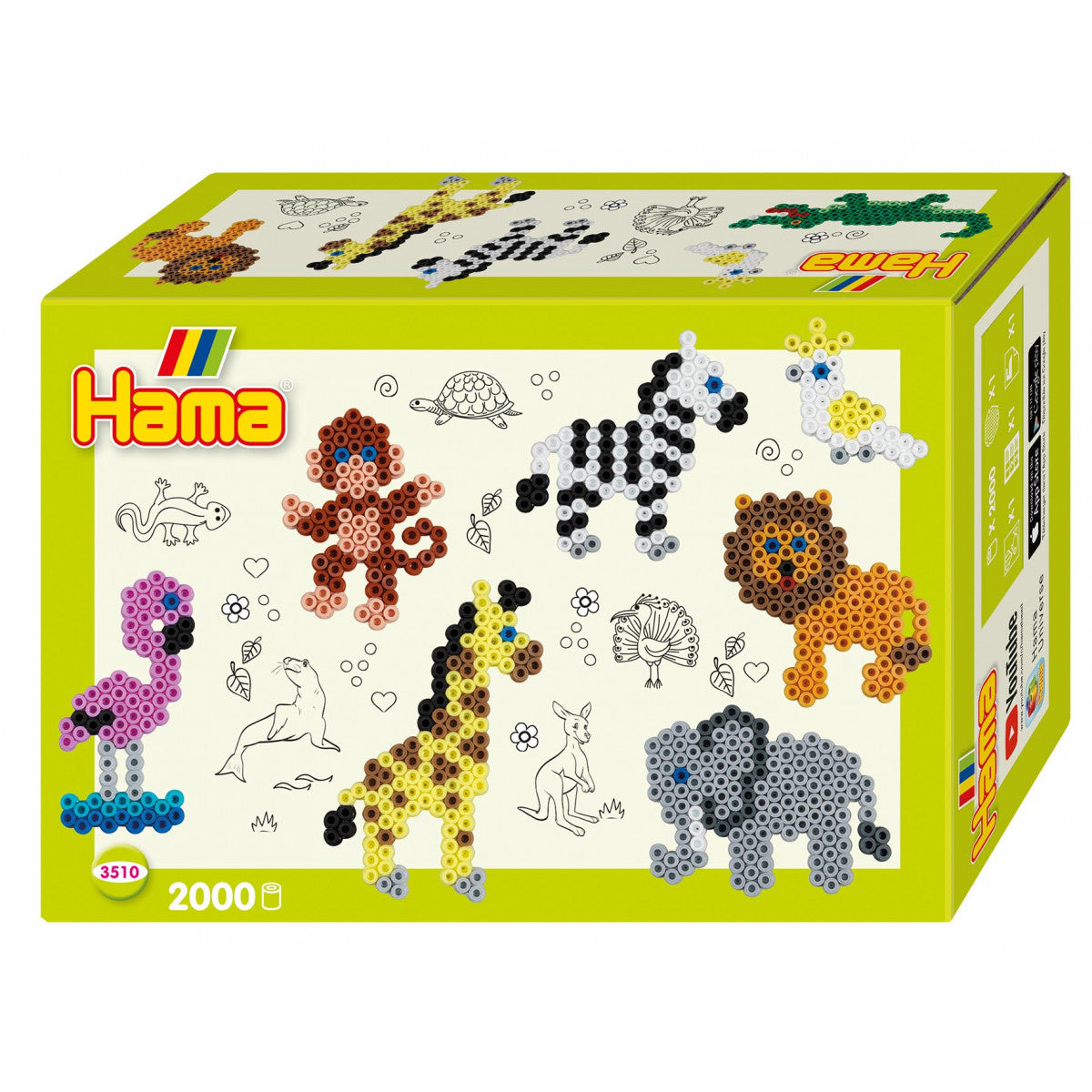 16790564.jpg