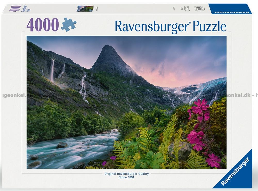 18672978.jpg