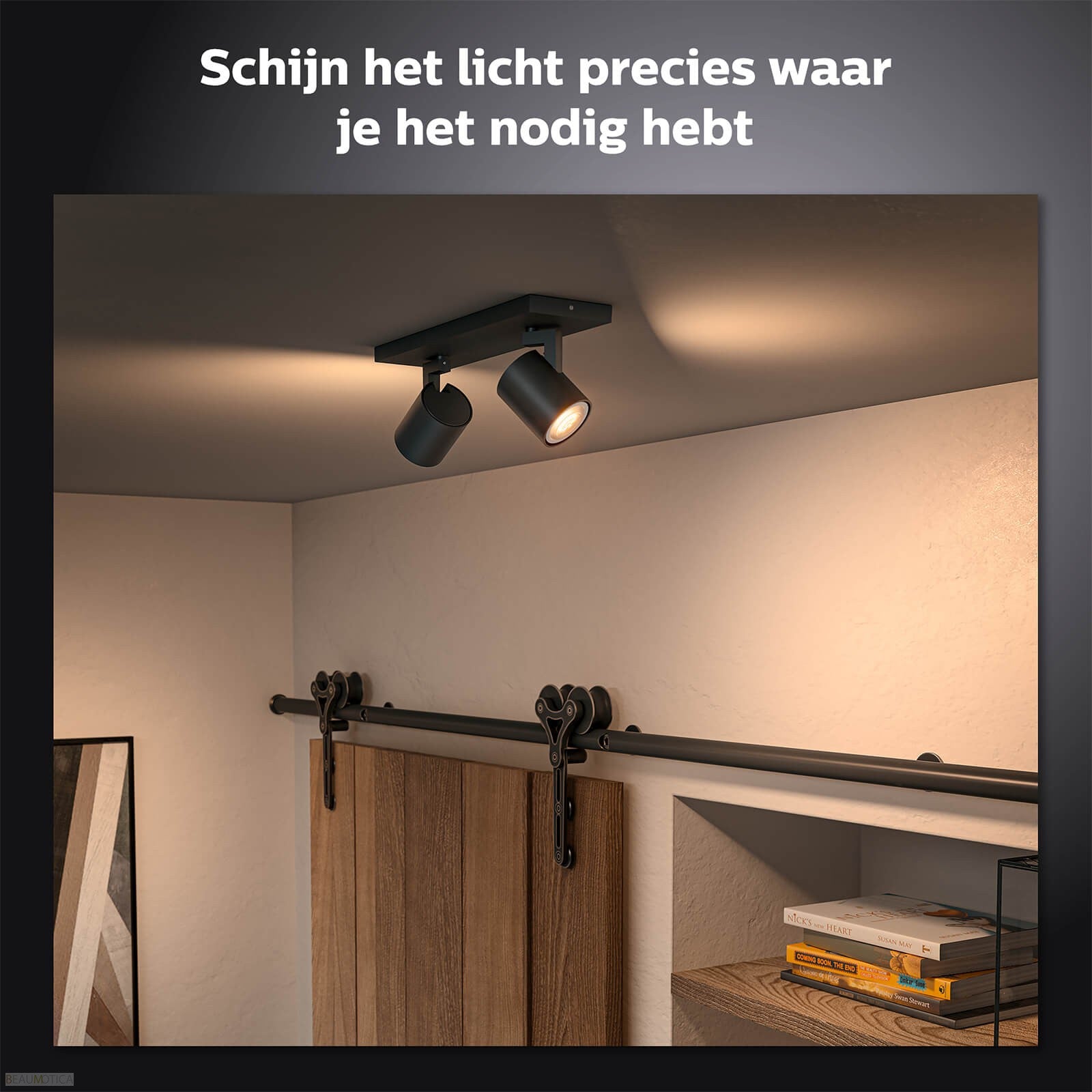 16852901-1.jpg