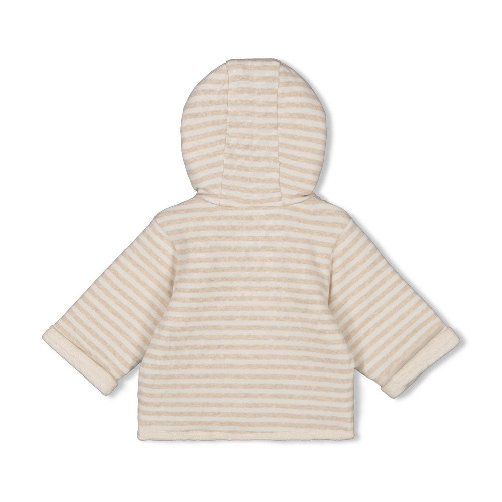 18391039-1.jpg