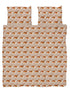 18294318.jpg