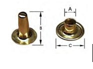 18345049.jpg