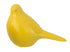 20033821.jpg