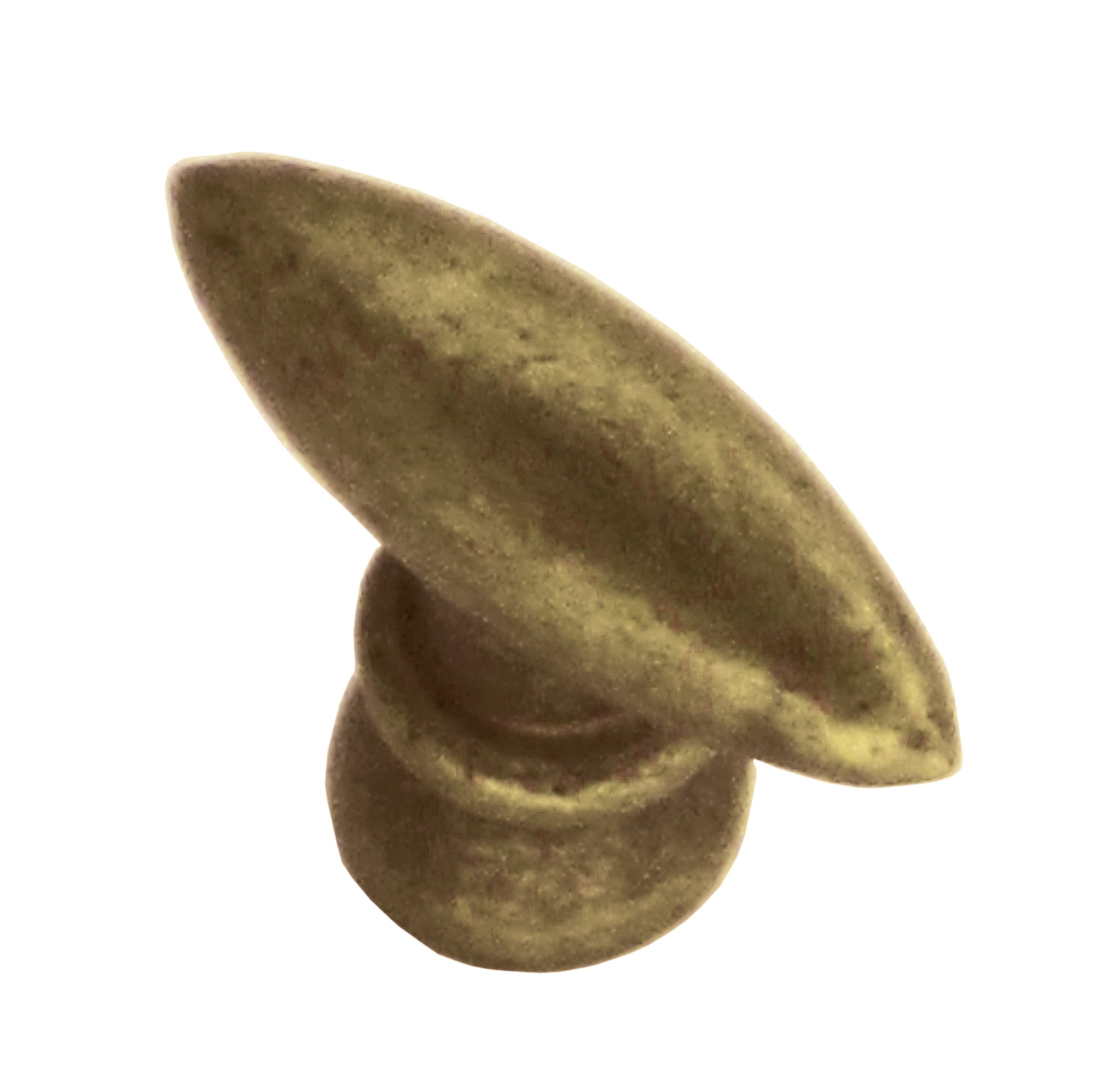 12774629.jpg