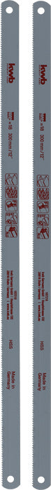 16939604.jpg