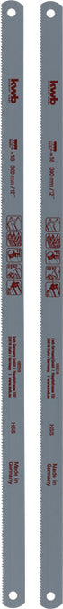 16939604.jpg
