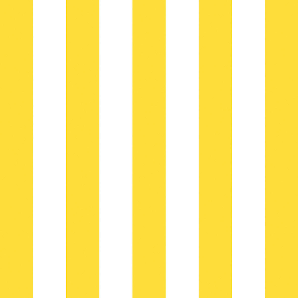 20047763.jpg