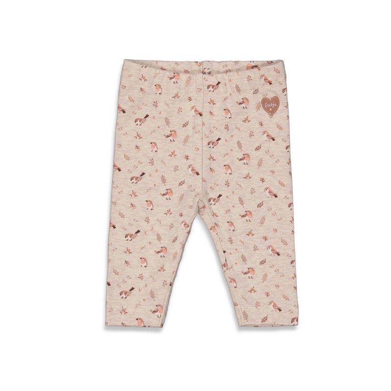 17781118.jpg