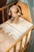 18579044-1.jpg