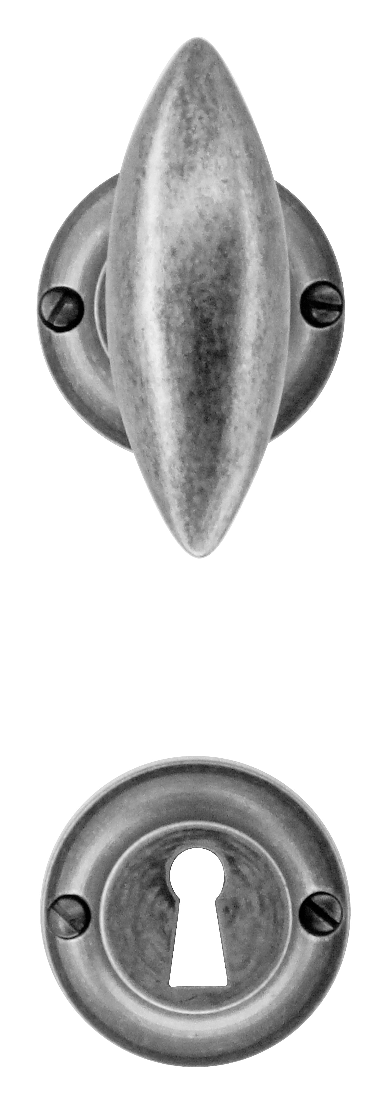 12578850.jpg