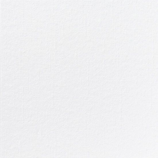 13022879.jpg
