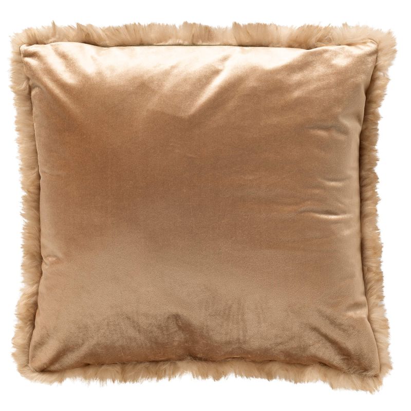 20058398-1.jpg