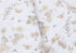 18164662-1.jpg