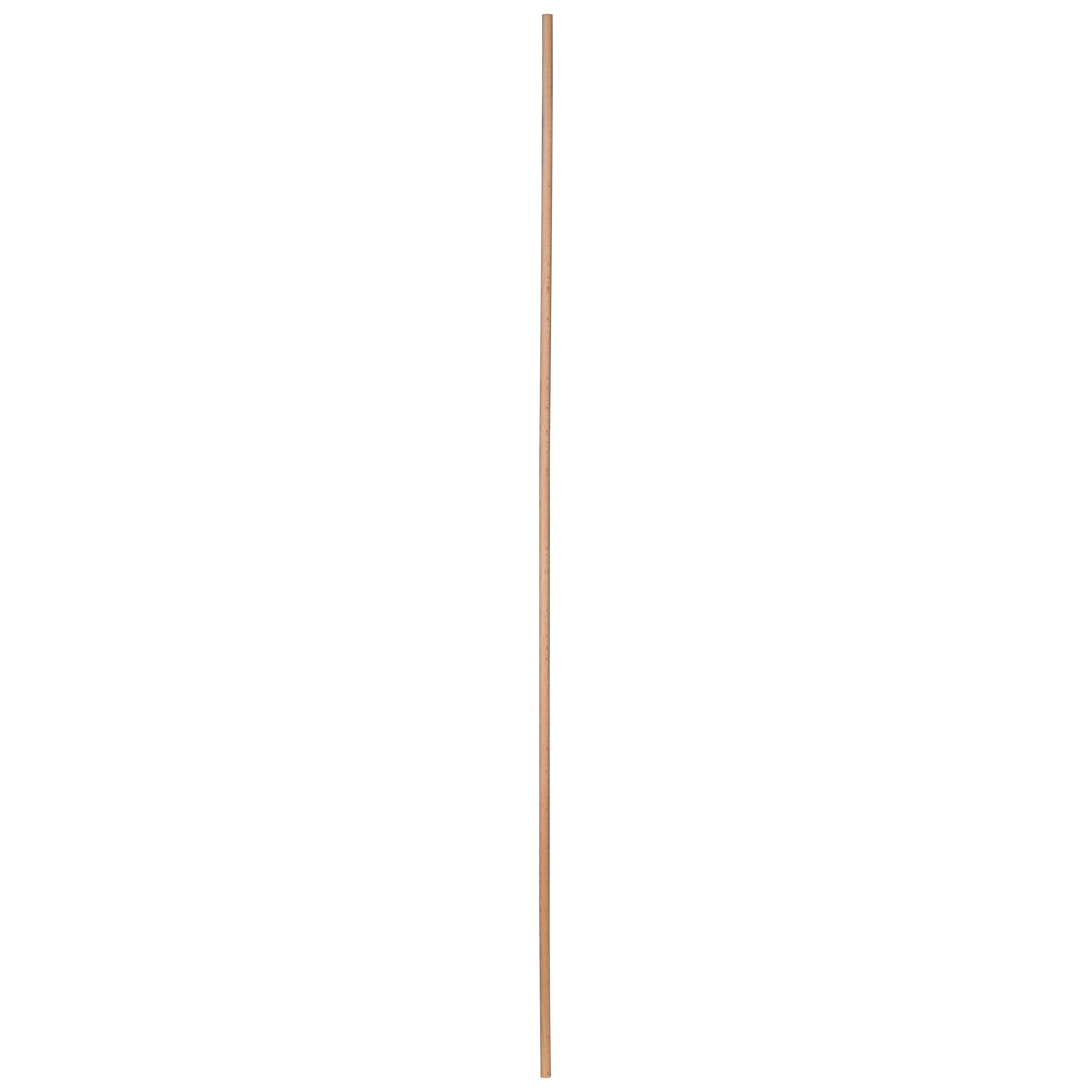 873334-2.jpg