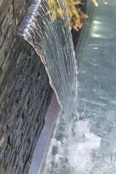 10994207-5.jpg